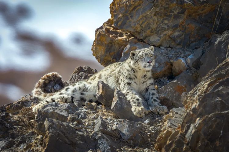 2025年问水三江源8日40