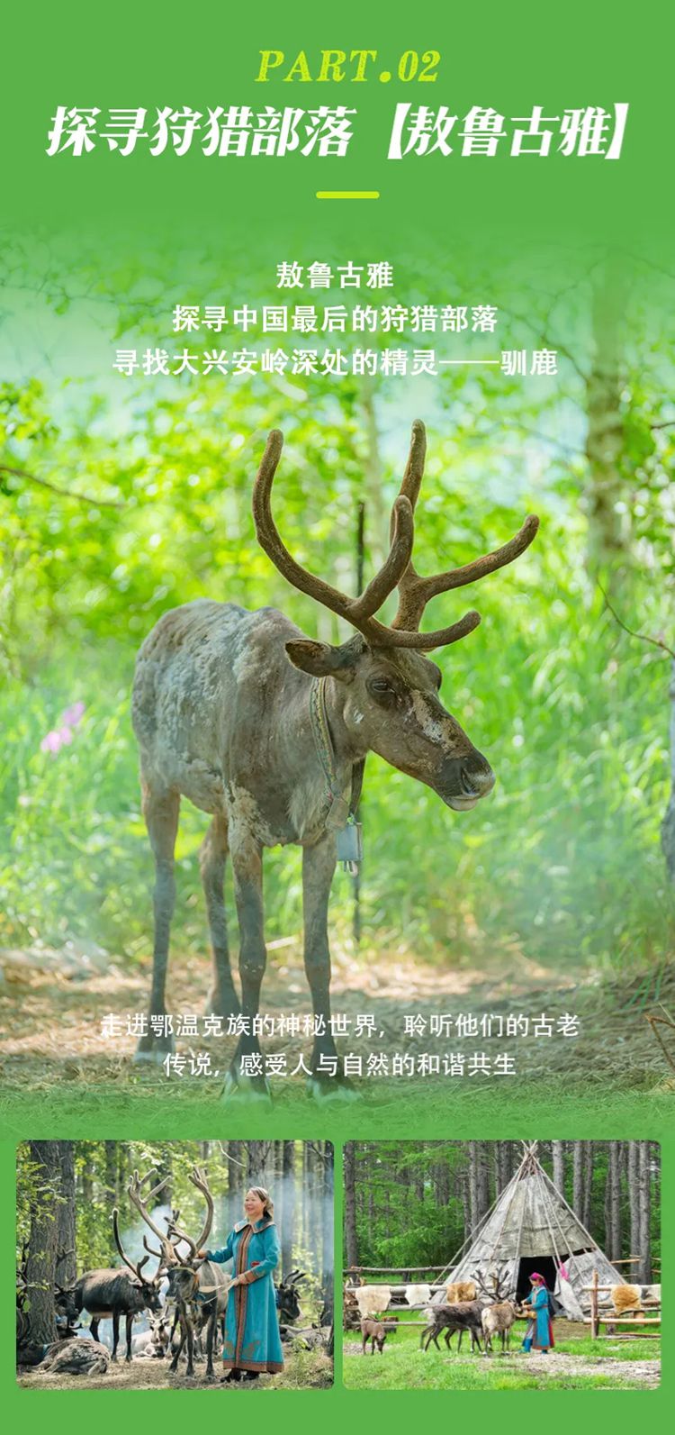 2025年呼伦贝尔6日5晚07