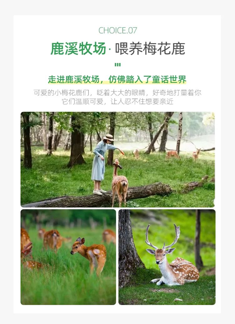 2025年兴安秘境7日16