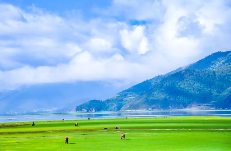 2025年大理山海之约6日23