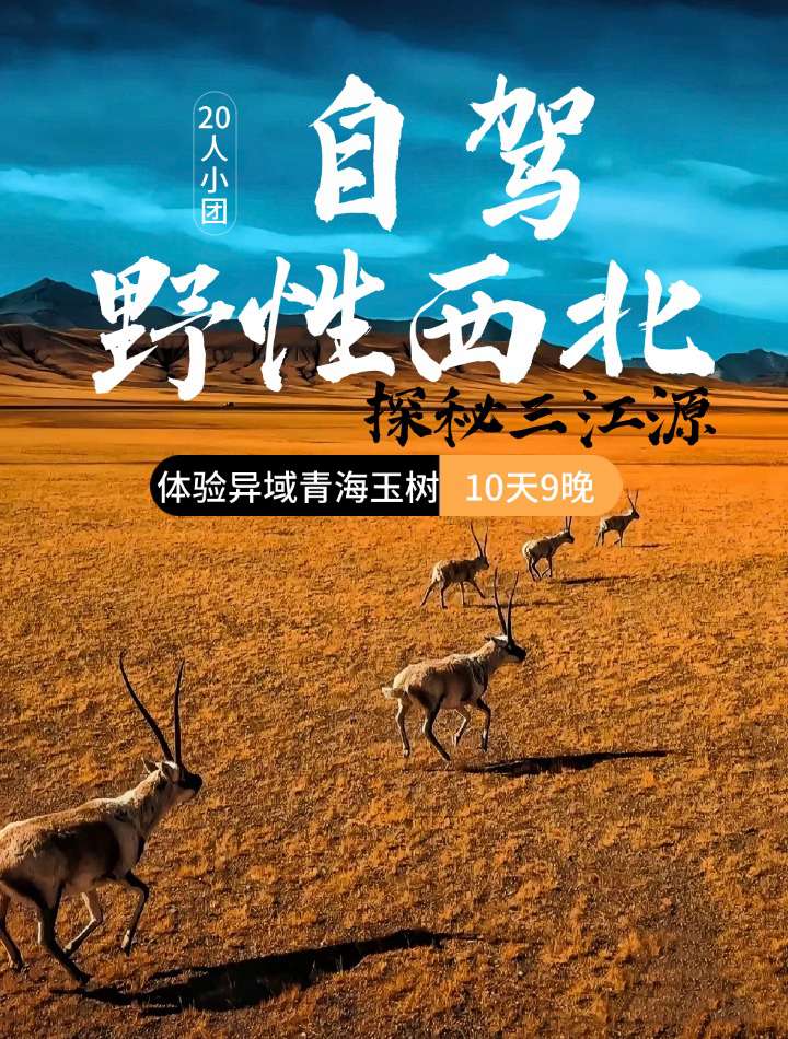 2025年野性青海玉树10日1