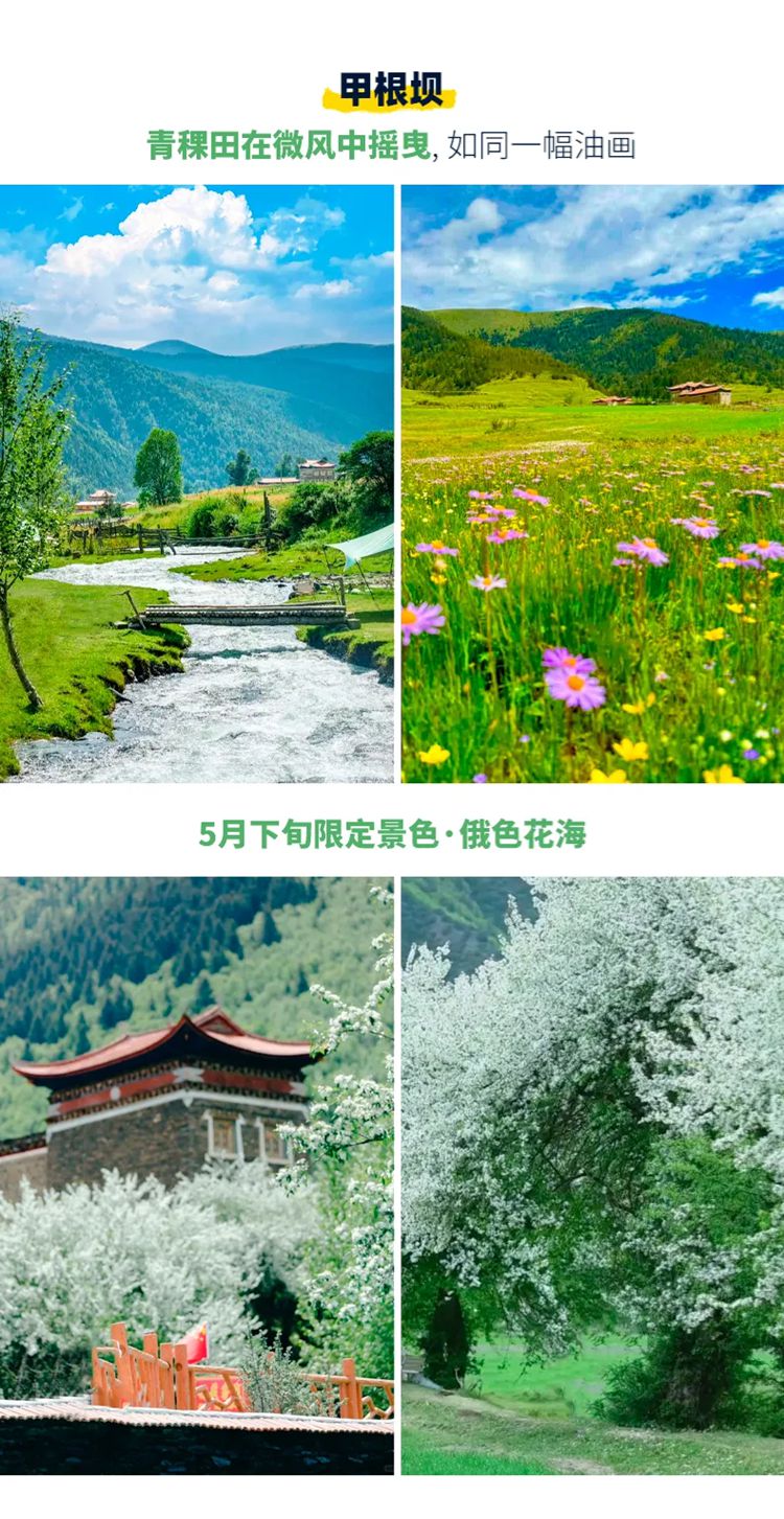 2025年大美川西5日09