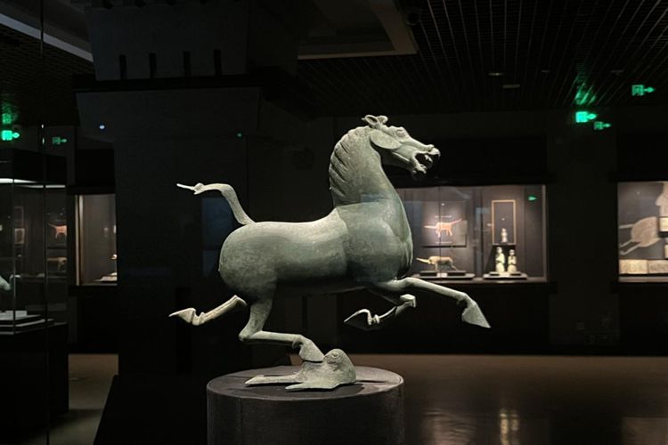 2025年甘南对话守YI人6日33