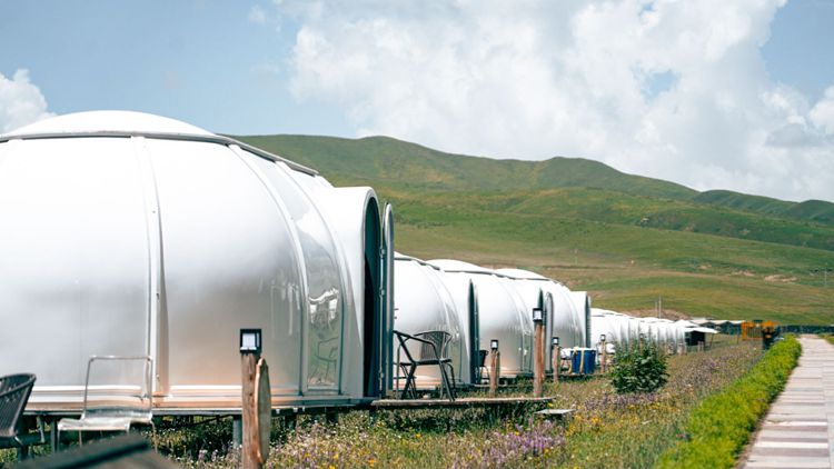 2025年甘南对话守YI人6日36