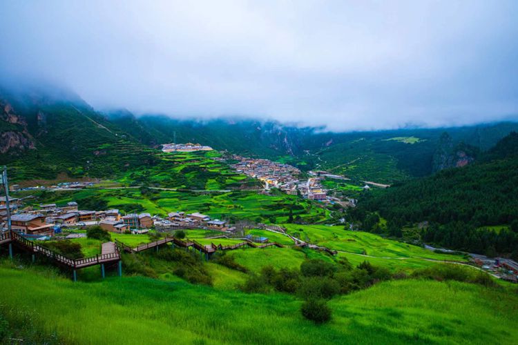 2025年甘南对话守YI人6日42