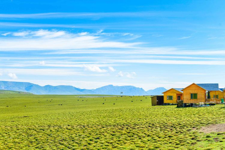 2025年甘南圣境全景7日43