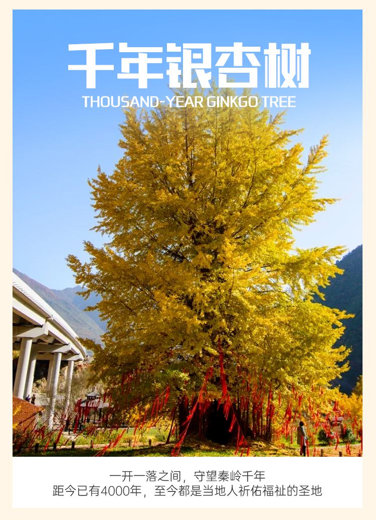 2025秦巴深度摄影7日游12