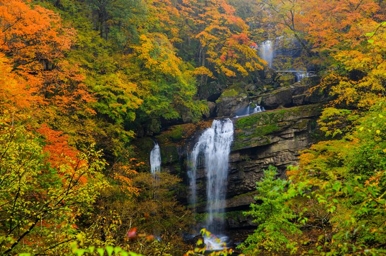 2025秘境光雾山5日26