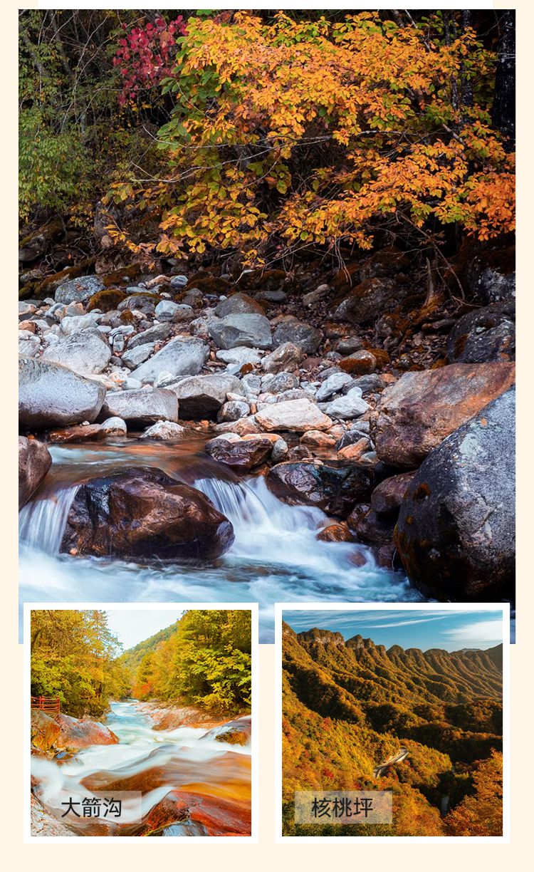 2025秦巴深度摄影7日游10