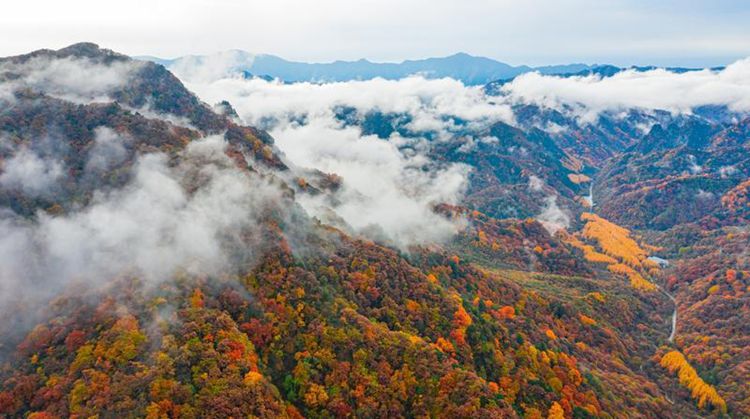 2025秘境光雾山5日23