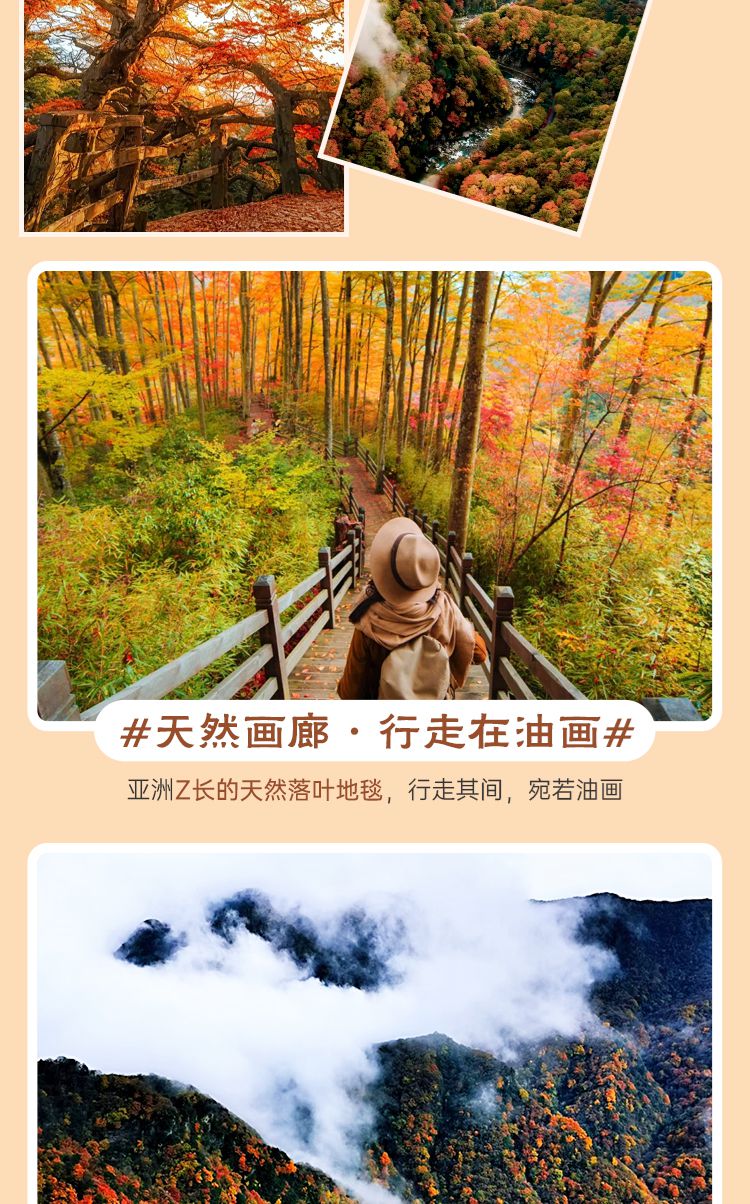 2025秘境光雾山5日09