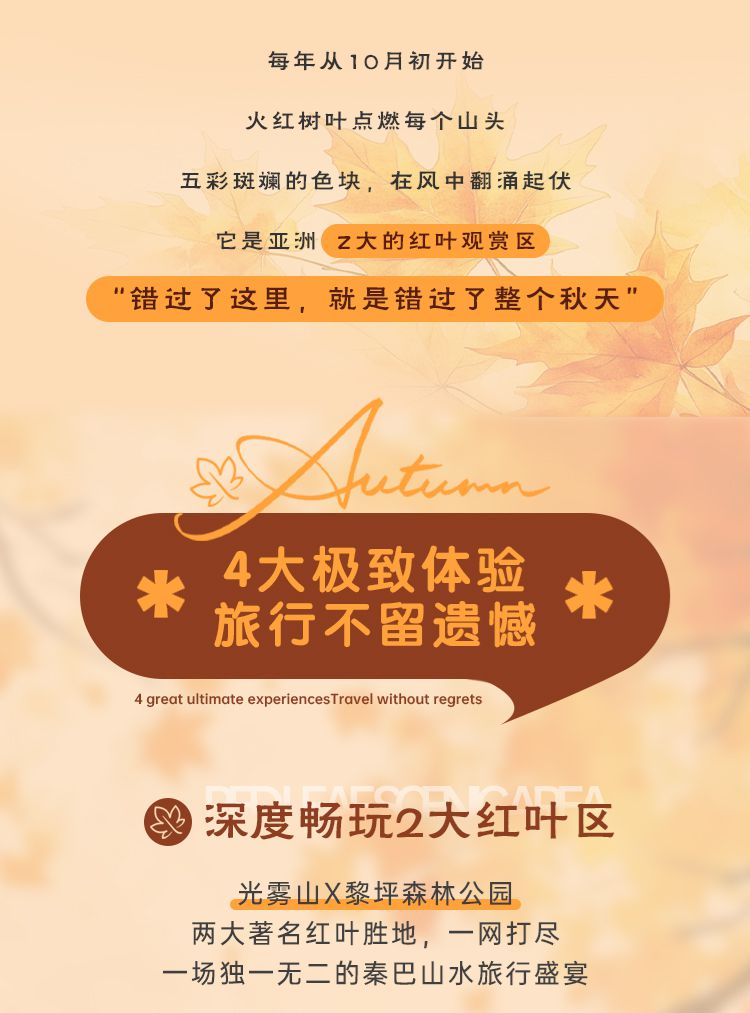 2025秘境光雾山5日03