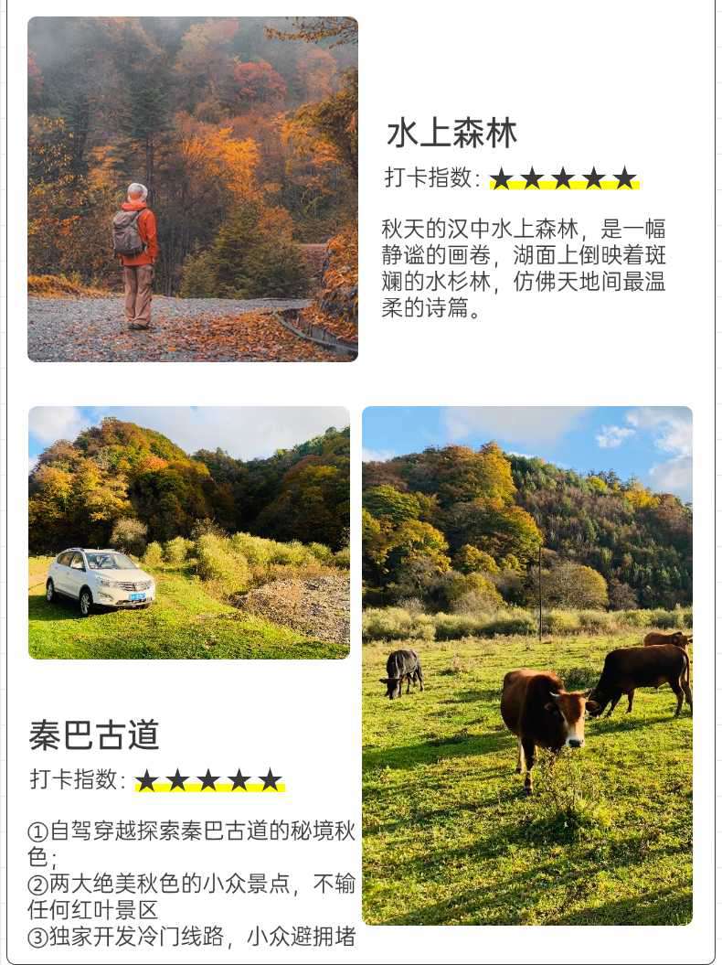 2025年秦巴秋色6日09