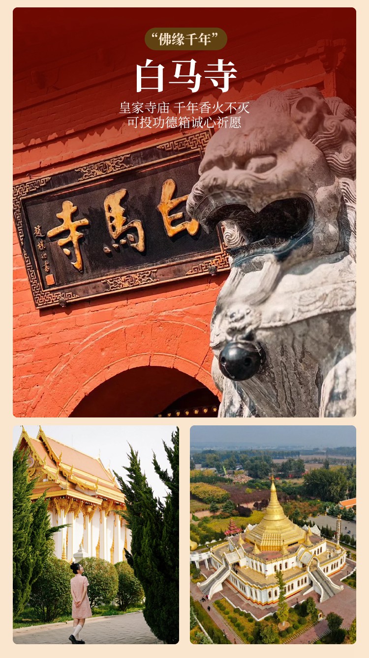 2025年河南洛阳6日13