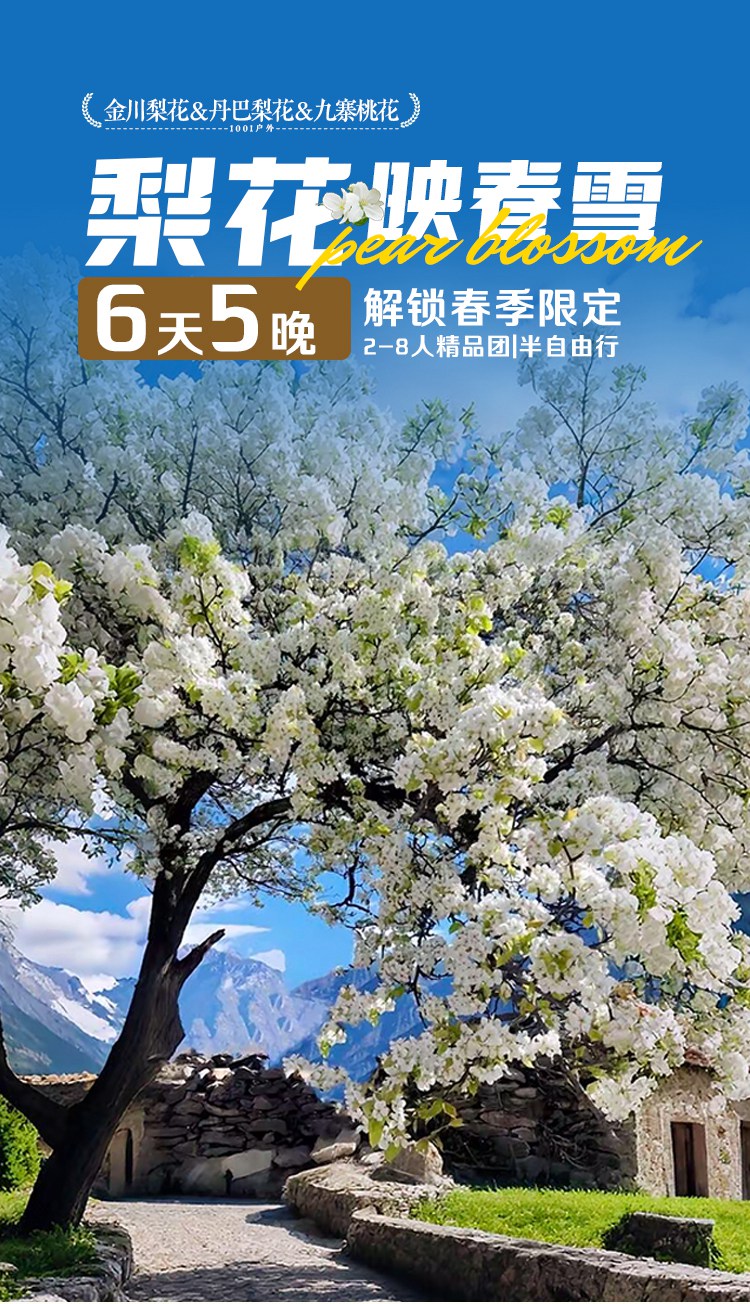 2026川西金川梨花九寨6日01