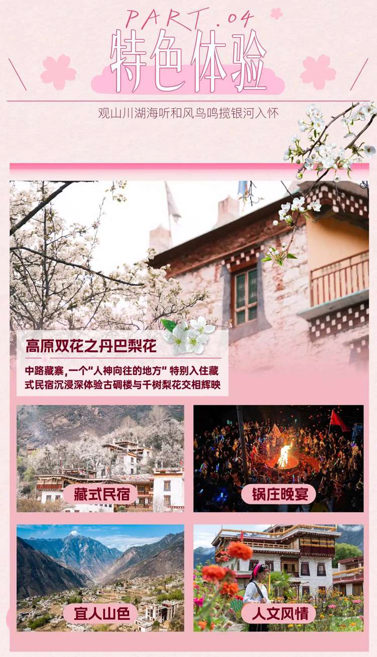 2026西藏桃花11日11
