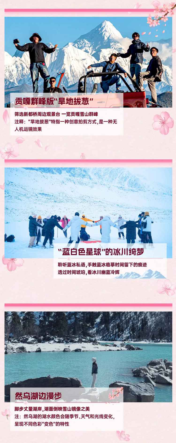 2026西藏桃花11日13