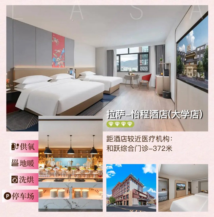 2026西藏桃花11日22