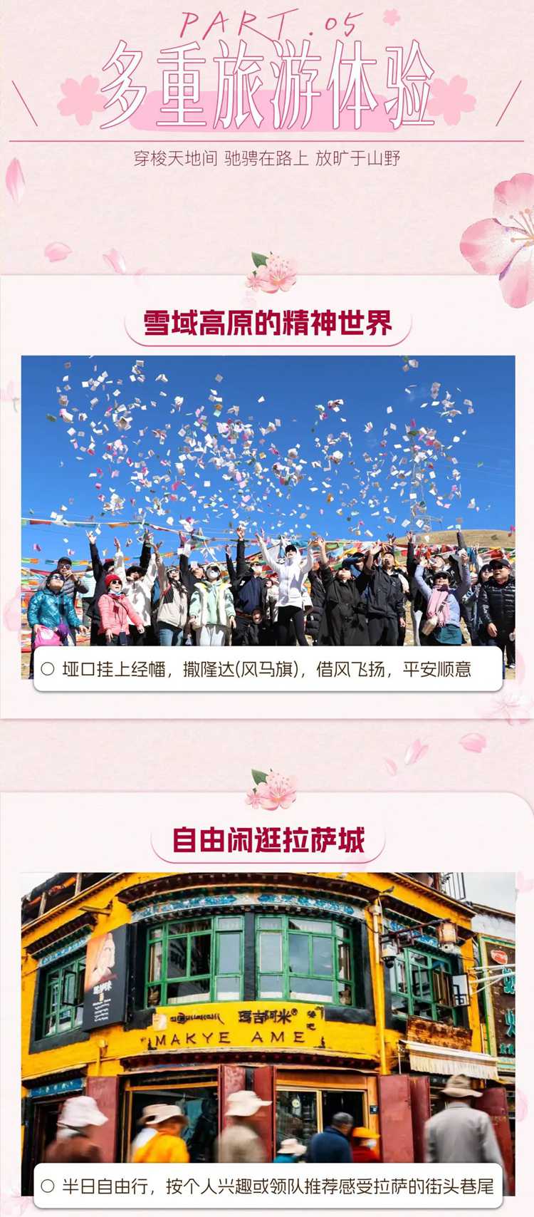 2026西藏桃花11日14