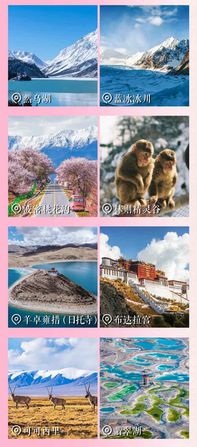 2026西藏桃花11日18