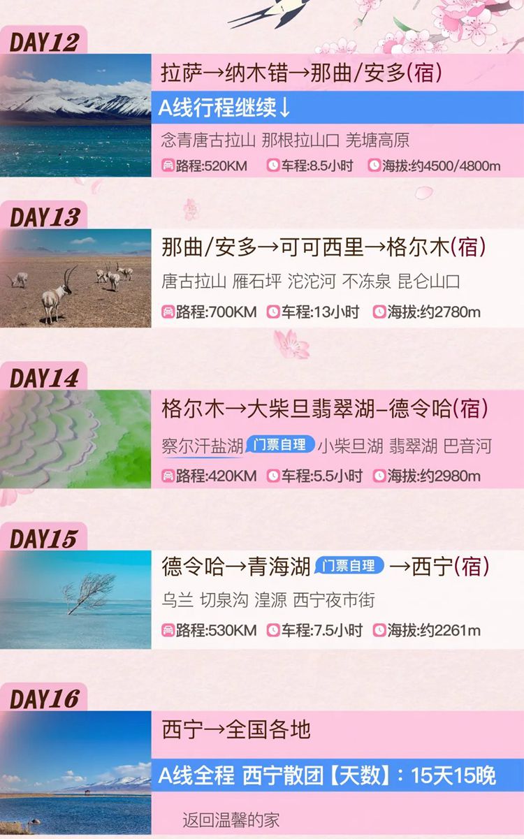2026西藏桃花11日07