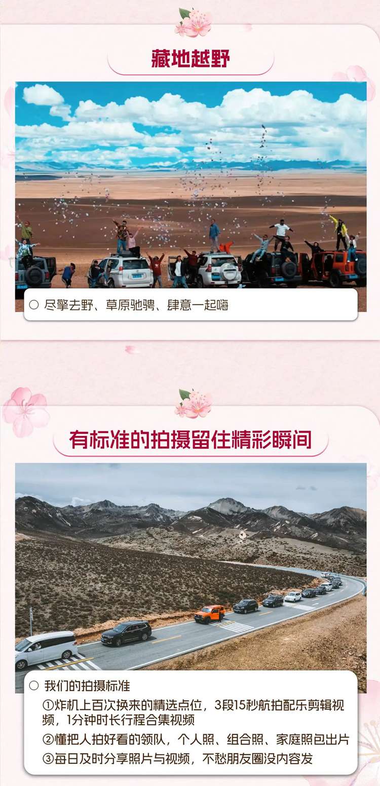 2026西藏桃花11日16