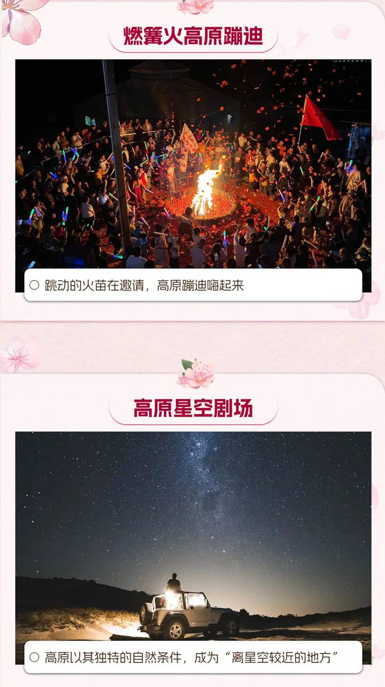 2026西藏桃花11日15