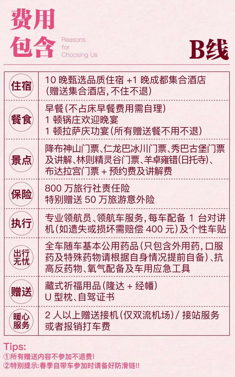 2026西藏桃花11日28