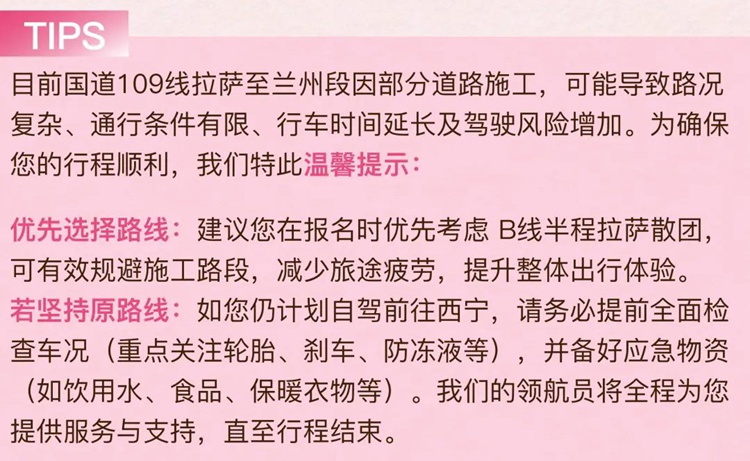 2026西藏桃花11日08