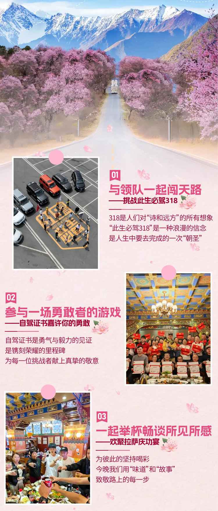 2026西藏桃花11日10