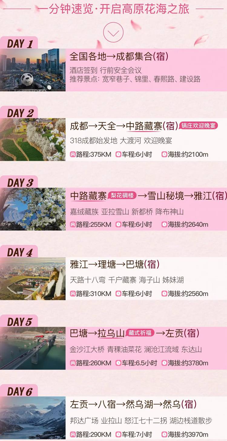 2026西藏桃花11日05