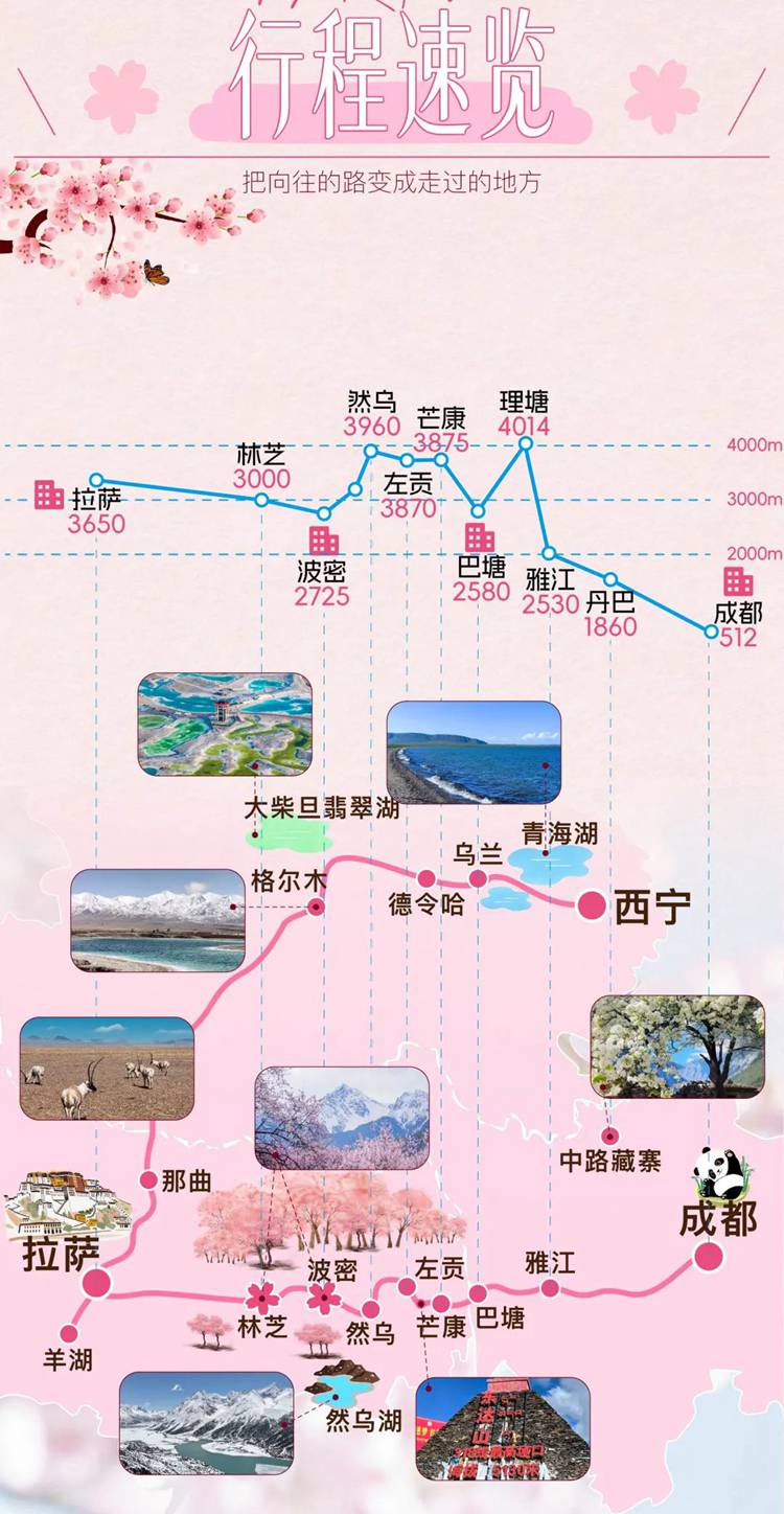 2026西藏桃花11日04
