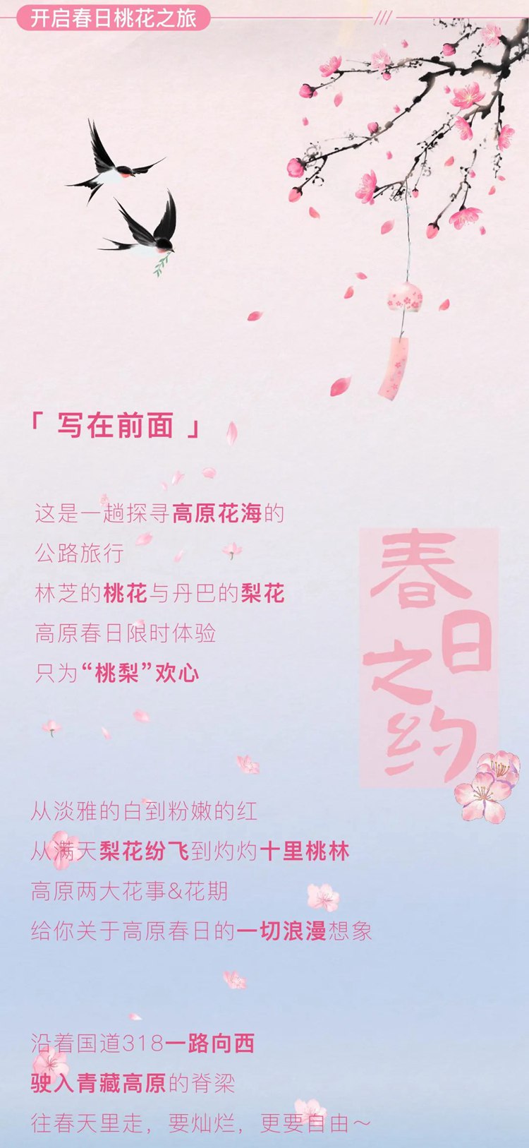 2026西藏桃花11日02