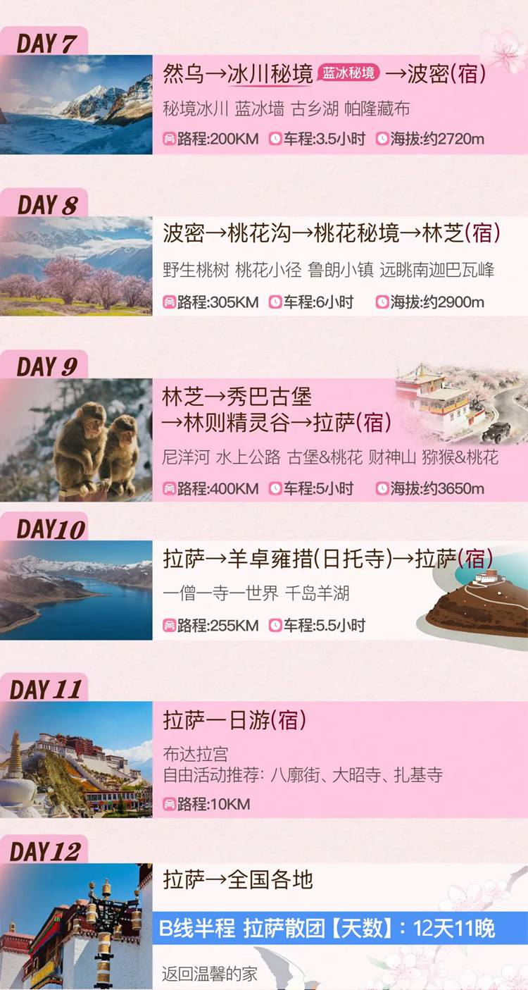 2026西藏桃花11日06