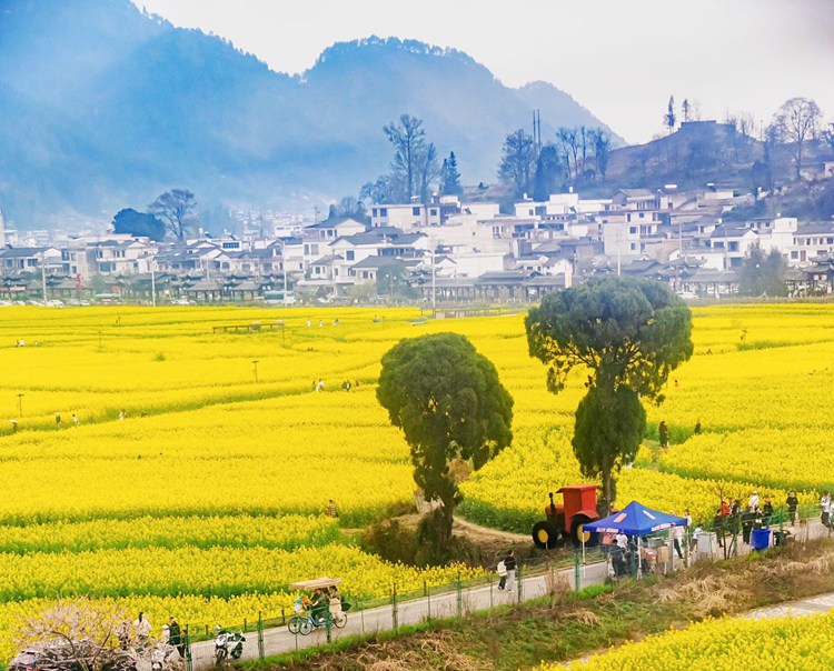 2026多彩贵州6日04