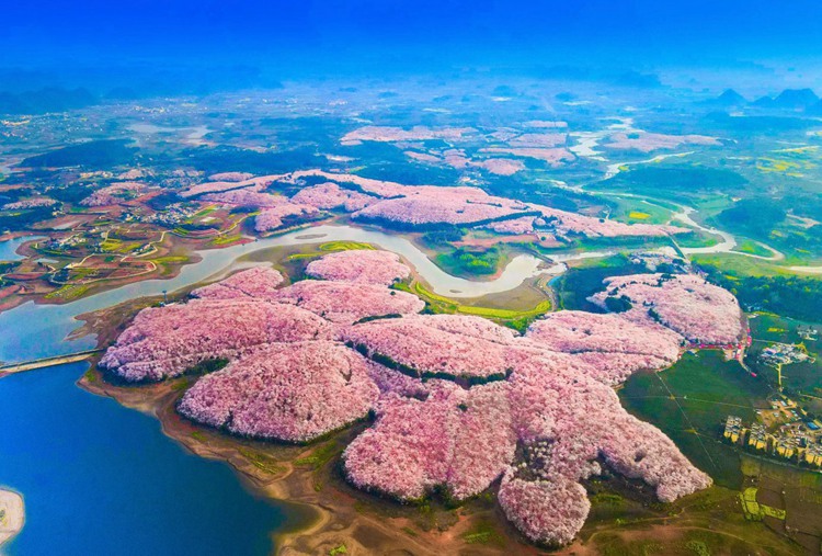 2026多彩贵州6日08