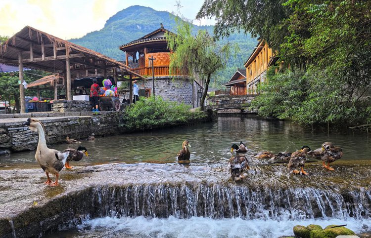 2026多彩贵州6日11