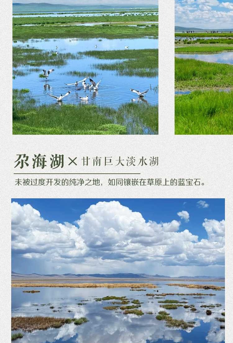 26秘境甘南5日5-6