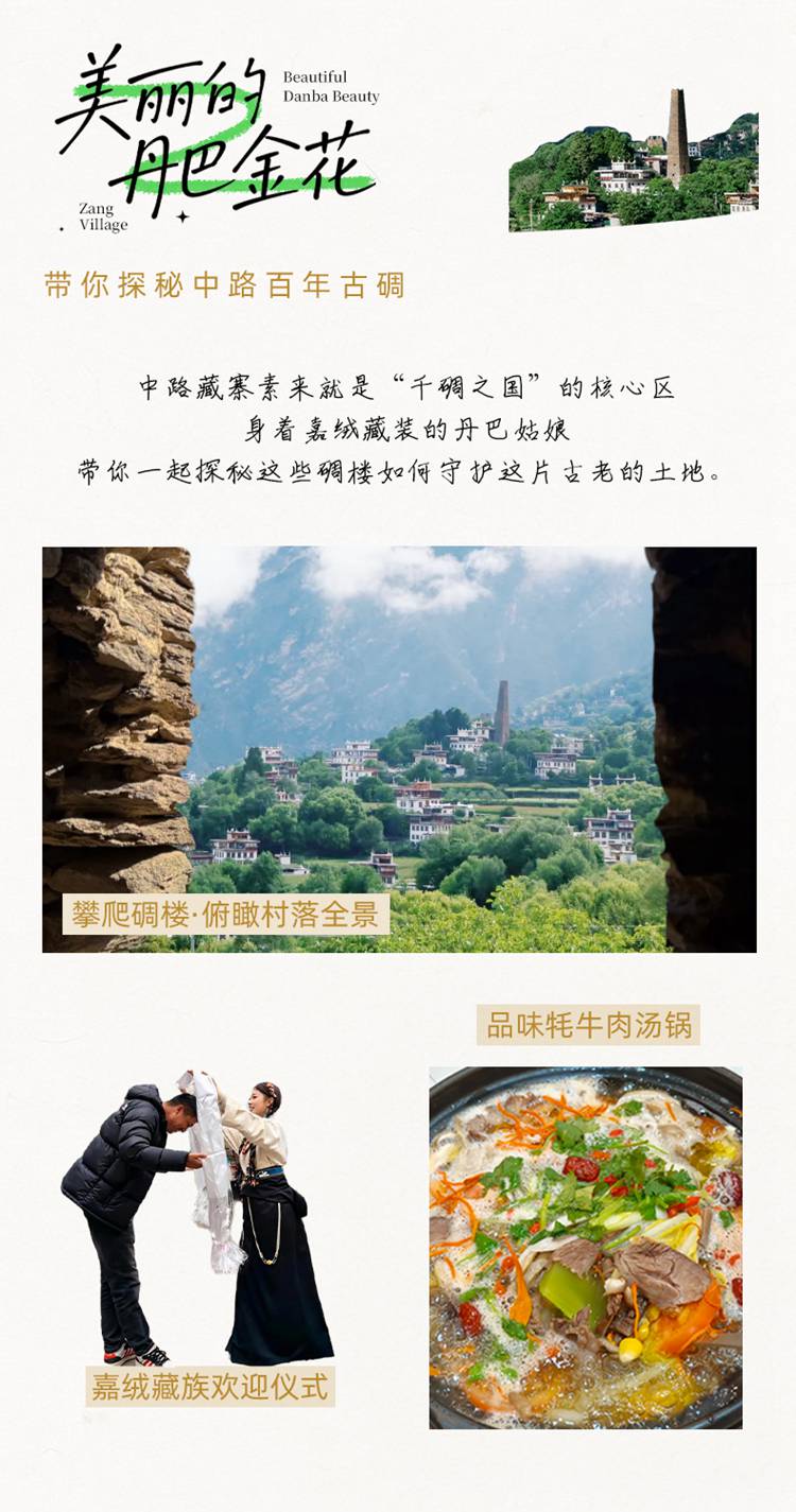2026川西色稻8日08 2026川西色稻8日08