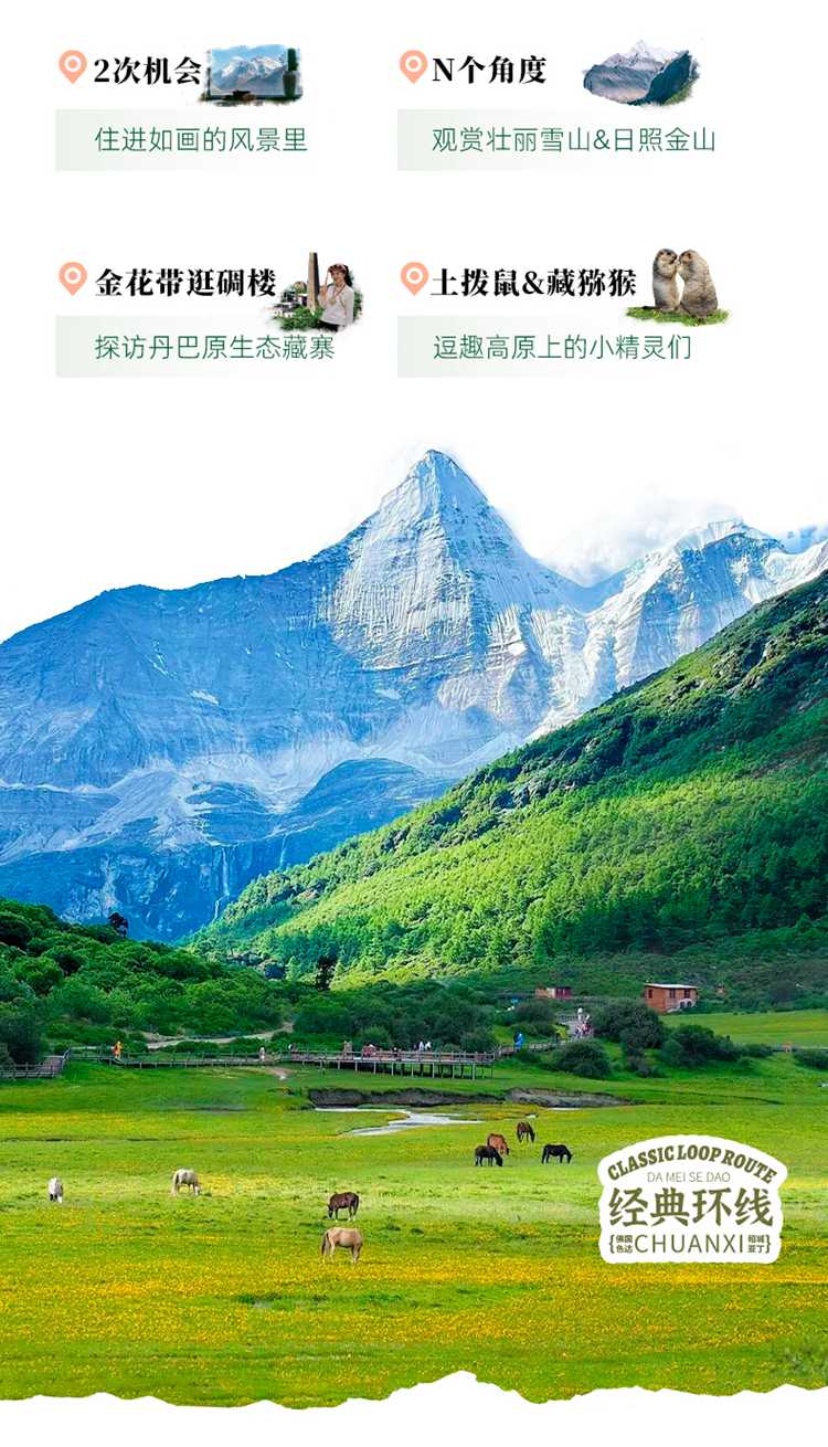 2026川西色稻8日03 2026川西色稻8日03