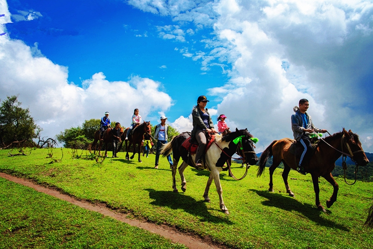 自驾烧烤高寒川2日04