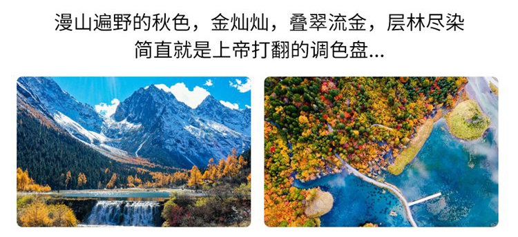 米亚罗10